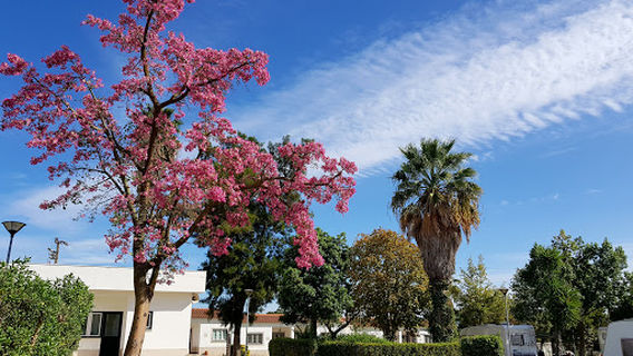 Parque de Campismo - Município da Golegã