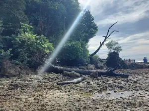 Natural Bridge