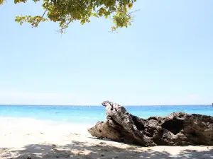 Pantai Patawana