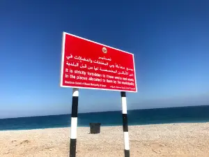 Family beach