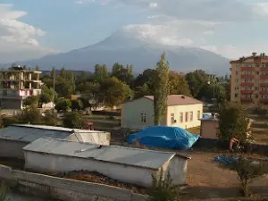 Karakoyunlu
