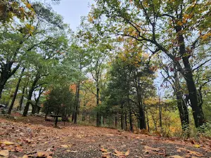 Horsethief Springs Picnic Ground