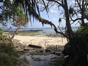 Alas Purwo National Park