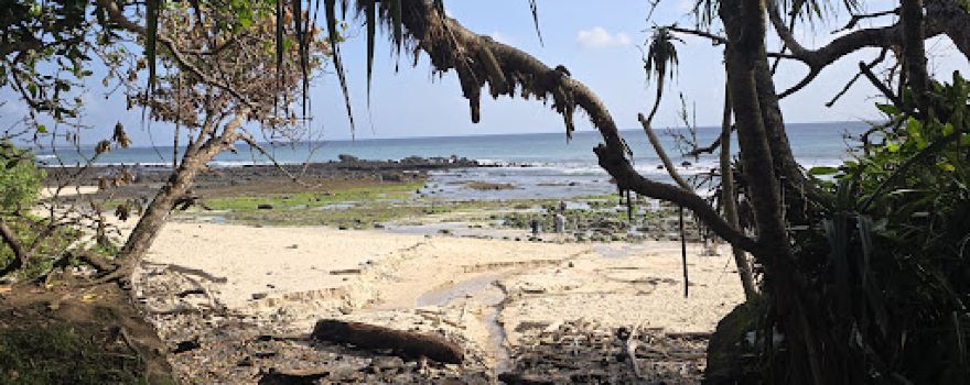Alas Purwo National Park