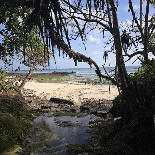 Alas Purwo National Park