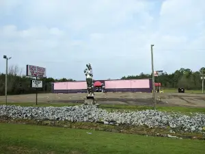 The Pony - Starkville Strip Club