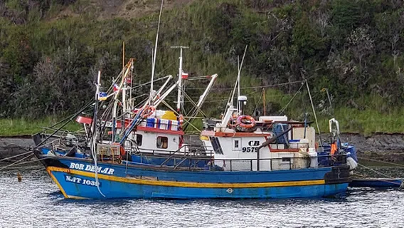 Hito de la Mitad De Chile