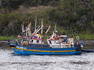 Hito de la Mitad De Chile