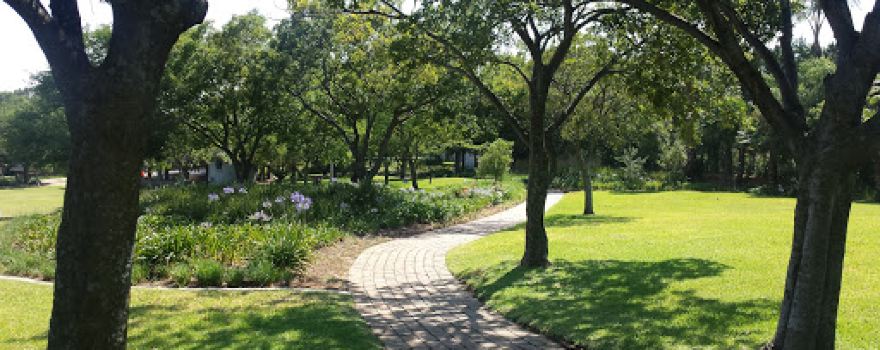 Fourways Gardens Phase 1 Park