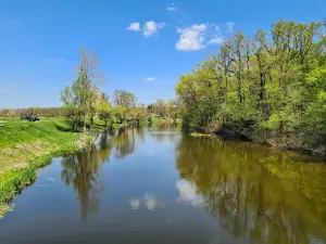 Bosut