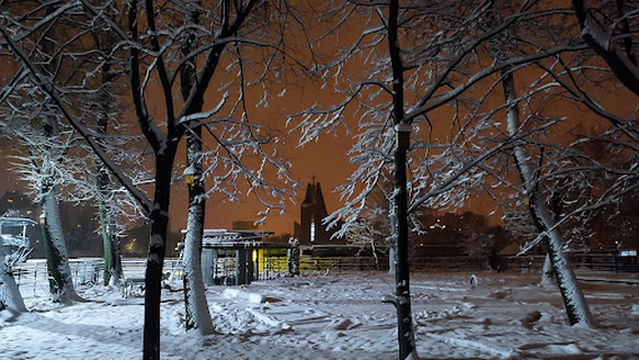 Leśny park kieszonkowy