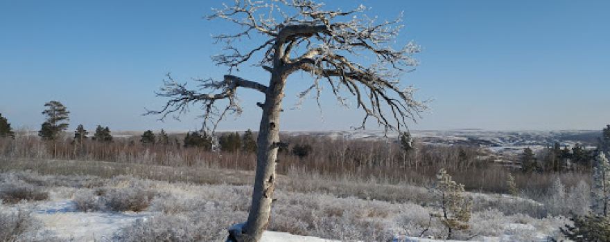 Karagayskiy Bor
