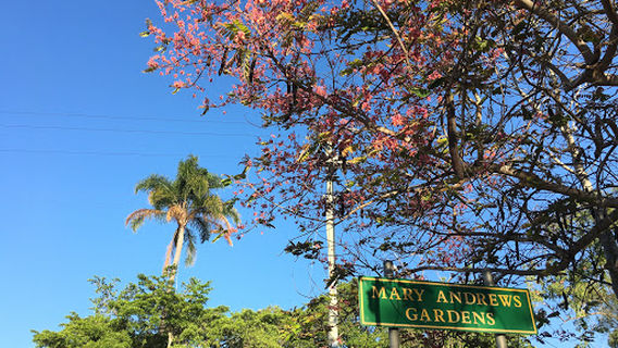 Mareeba