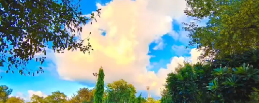 Jiwaji Ganj Park