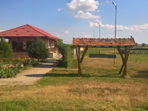 Orașul de Floci