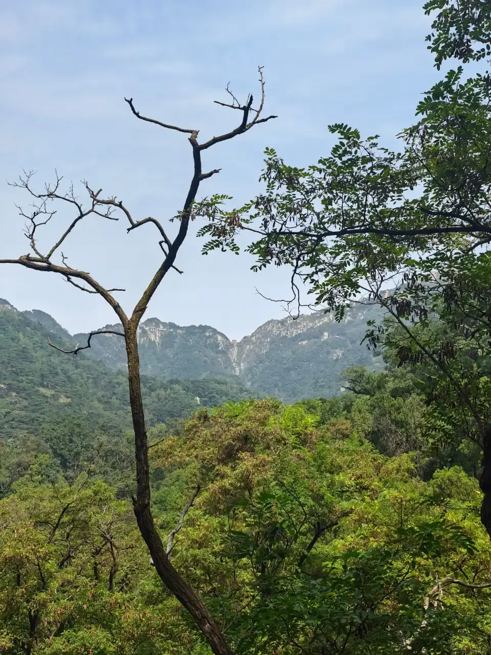 4_泰山索道