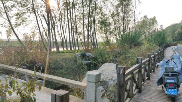 qu zi wen hua yuan - pu jian dao