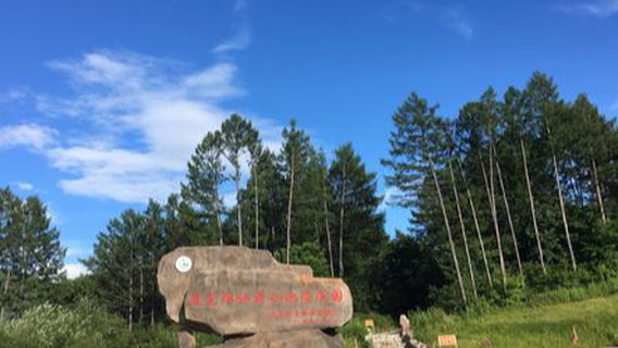 guo jia di zhi gong yuan xian weng shan shu hua shi qun luo