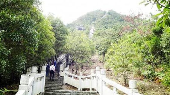 Jiulongfeng Forest Park