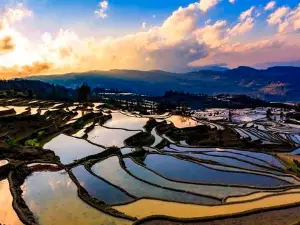 Jingkou Terraced Fields Scenic Area