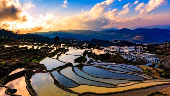 Jingkou Terraced Fields Scenic Area