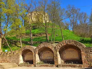 Terebovlia Сastle