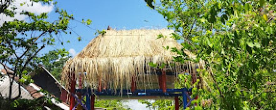 Agrowisata Kebun Belimbing Ngringinrejo