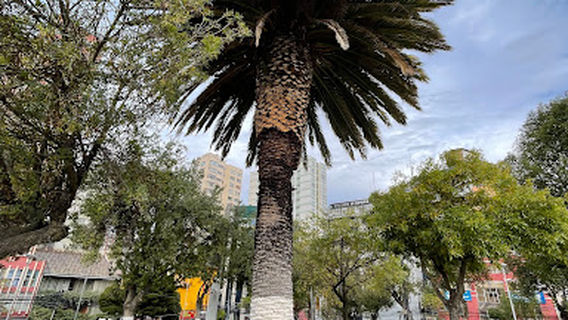 Niki´s Fast Food & Juices