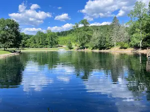 Coonskin Park