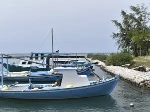 Maroshi