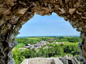 Pilcza Castle