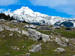 Šimnovec Zgornja postaja nihalke
