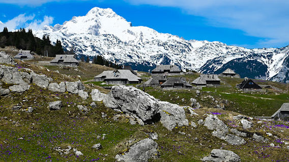 Šimnovec Zgornja postaja nihalke