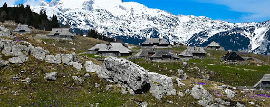 Šimnovec Zgornja postaja nihalke