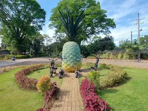 DELMONTE Pineapple Icon