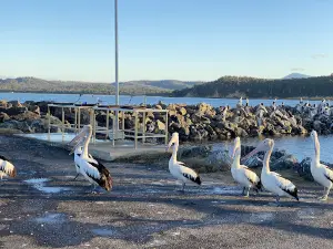 Quarantine Bay Boat Ramp
