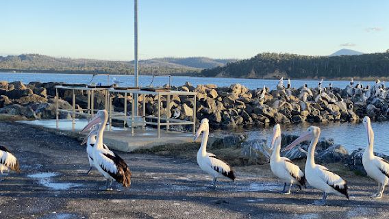 Quarantine Bay Boat Ramp
