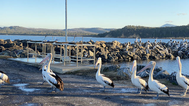 Quarantine Bay Boat Ramp