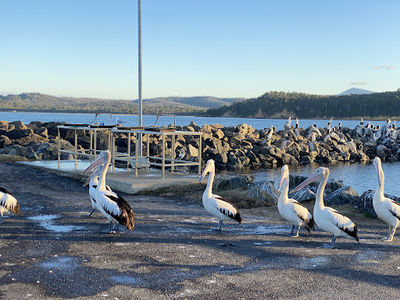 Quarantine Bay Boat Ramp