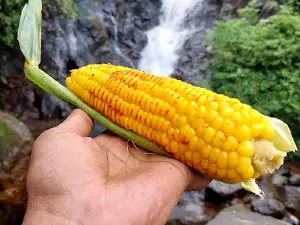 Ghatmatha Waterfalls