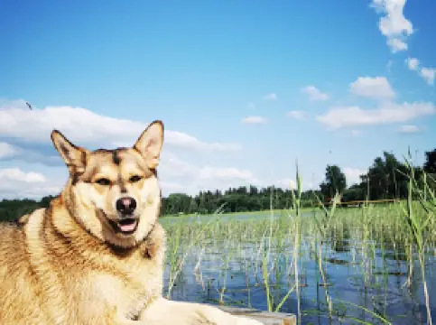 Дом Рыбака Заречье 33