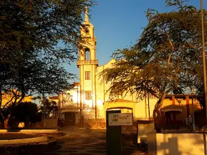 Square Miguel Carneiro