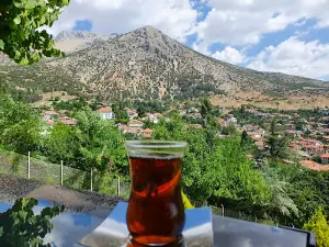 Topdağı Mesire Alanı