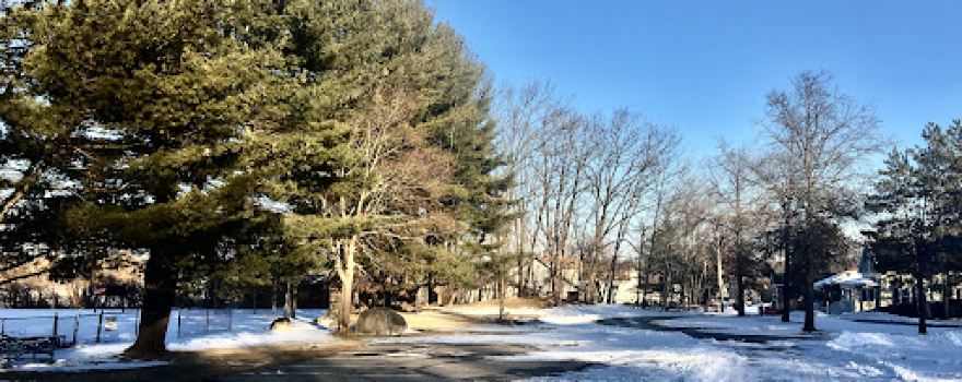 Roy Park