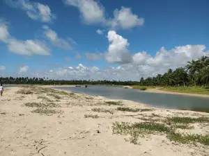 Barra de Camaragibe