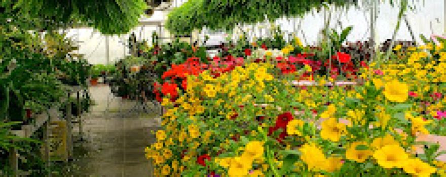 Blooms Garden Center