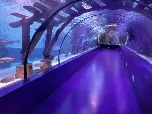 Acquario di Antalia