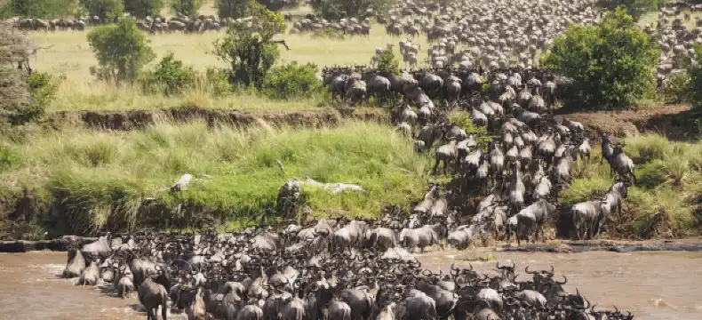 탄자니아 마라 소재 3성급 호텔