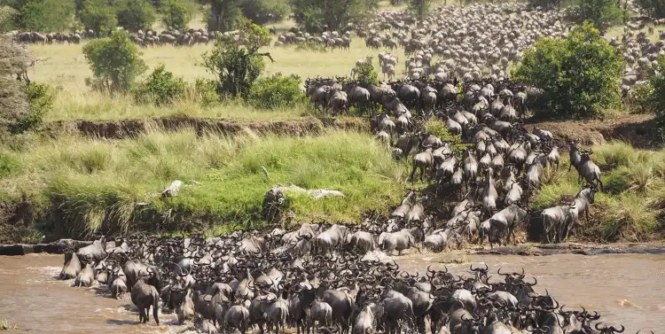 Hôtels avec salle de sport à Région de Mara, Tanzanie