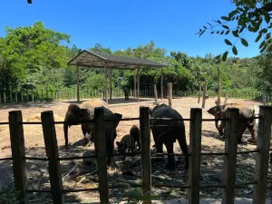 Lok Kawi Wildlife Park